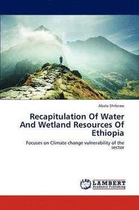 bokomslag Recapitulation Of Water And Wetland Resources Of Ethiopia