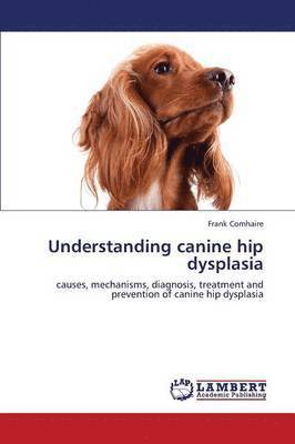 Understanding Canine Hip Dysplasia 1