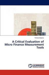 bokomslag A Critical Evaluation of Micro Finance Measurement Tools