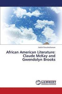 bokomslag African American Literature