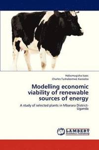 bokomslag Modelling Economic Viability of Renewable Sources of Energy