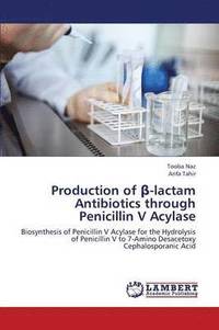 bokomslag Production of -Lactam Antibiotics Through Penicillin V Acylase