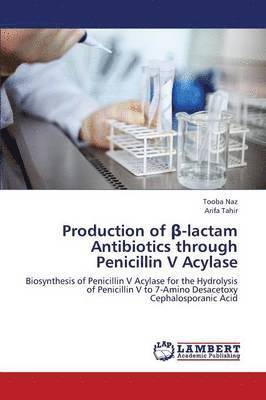 Production of -Lactam Antibiotics Through Penicillin V Acylase 1