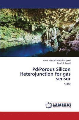 Pd/Porous Silicon Heterojunction for Gas Sensor 1