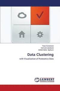 bokomslag Data Clustering