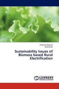bokomslag Sustainability Issues of Biomass Based Rural Electrification