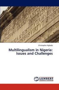 bokomslag Multilingualism in Nigeria