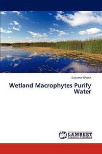 bokomslag Wetland Macrophytes Purify Water