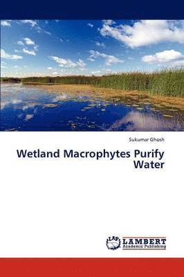 Wetland Macrophytes Purify Water 1