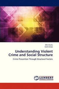 bokomslag Understanding Violent Crime and Social Structure