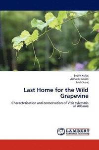 bokomslag Last Home for the Wild Grapevine