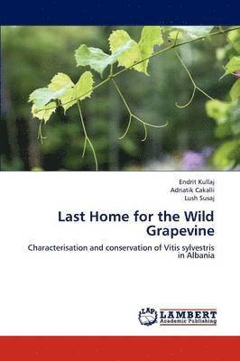 Last Home for the Wild Grapevine 1