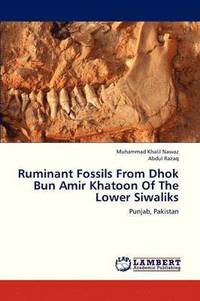 bokomslag Ruminant Fossils From Dhok Bun Amir Khatoon Of The Lower Siwaliks