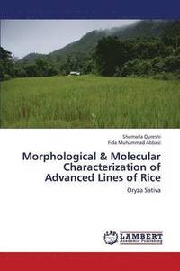 bokomslag Morphological & Molecular Characterization of Advanced Lines of Rice