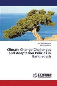 bokomslag Climate Change Challenges and Adaptation Policies in Bangladesh