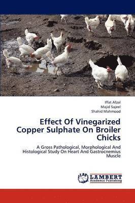 bokomslag Effect of Vinegarized Copper Sulphate on Broiler Chicks