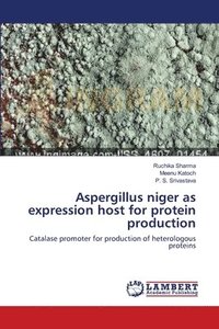 bokomslag Aspergillus niger as expression host for protein production