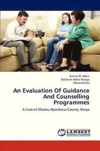 bokomslag An Evaluation of Guidance and Counselling Programmes