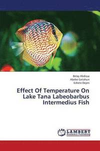 bokomslag Effect of Temperature on Lake Tana Labeobarbus Intermedius Fish