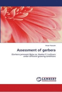 bokomslag Assessment of gerbera