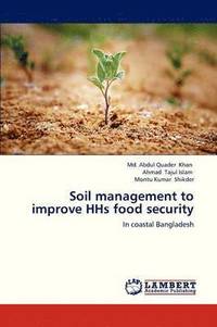 bokomslag Soil Management to Improve HHS Food Security