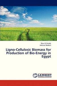 bokomslag Ligno-Cellulosic Biomass for Production of Bio-Energy in Egypt
