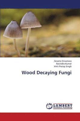 Wood Decaying Fungi 1