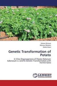 bokomslag Genetic Transformation of Potato