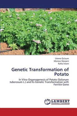 Genetic Transformation of Potato 1