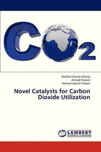 bokomslag Novel Catalysts for Carbon Dioxide Utilization