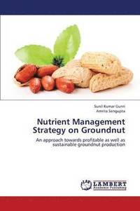 bokomslag Nutrient Management Strategy on Groundnut