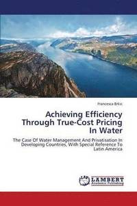 bokomslag Achieving Efficiency Through True-Cost Pricing in Water