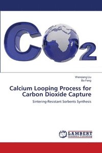 bokomslag Calcium Looping Process for Carbon Dioxide Capture