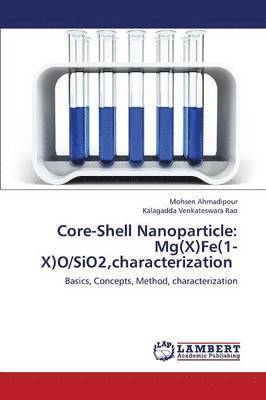 Core-Shell Nanoparticle 1