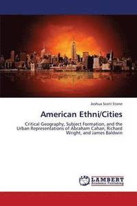 bokomslag American Ethni/Cities