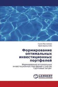 bokomslag Formirovanie Optimal'nykh Investitsionnykh Portfeley