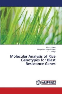 bokomslag Molecular Analysis of Rice Genotypes for Blast Resistance Genes