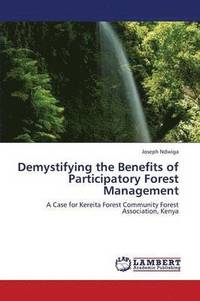 bokomslag Demystifying the Benefits of Participatory Forest Management