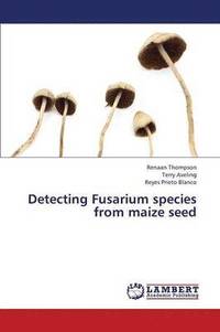 bokomslag Detecting Fusarium species from maize seed