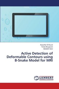 bokomslag Active Detection of Deformable Contours using B-Snake Model for MRI