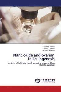 bokomslag Nitric Oxide and Ovarian Folliculogenesis