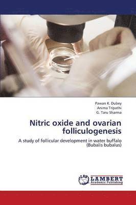 Nitric Oxide and Ovarian Folliculogenesis 1