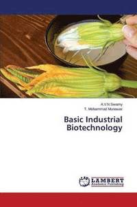 bokomslag Basic Industrial Biotechnology