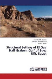 bokomslag Structural Setting of El Qaa Half Graben, Gulf of Suez Rift, Egypt