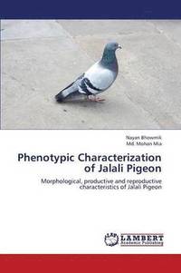 bokomslag Phenotypic Characterization of Jalali Pigeon