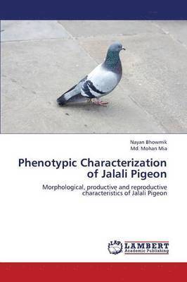 bokomslag Phenotypic Characterization of Jalali Pigeon