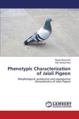 Phenotypic Characterization of Jalali Pigeon 1