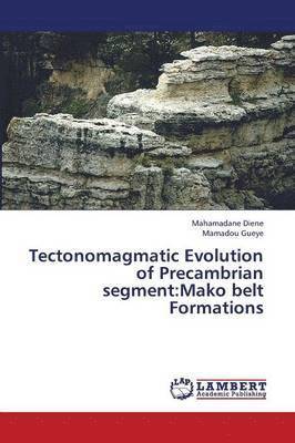 Tectonomagmatic Evolution of Precambrian Segment 1