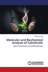 bokomslag Molecular and Biochemical Analysis of Calreticulin