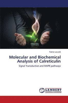 Molecular and Biochemical Analysis of Calreticulin 1